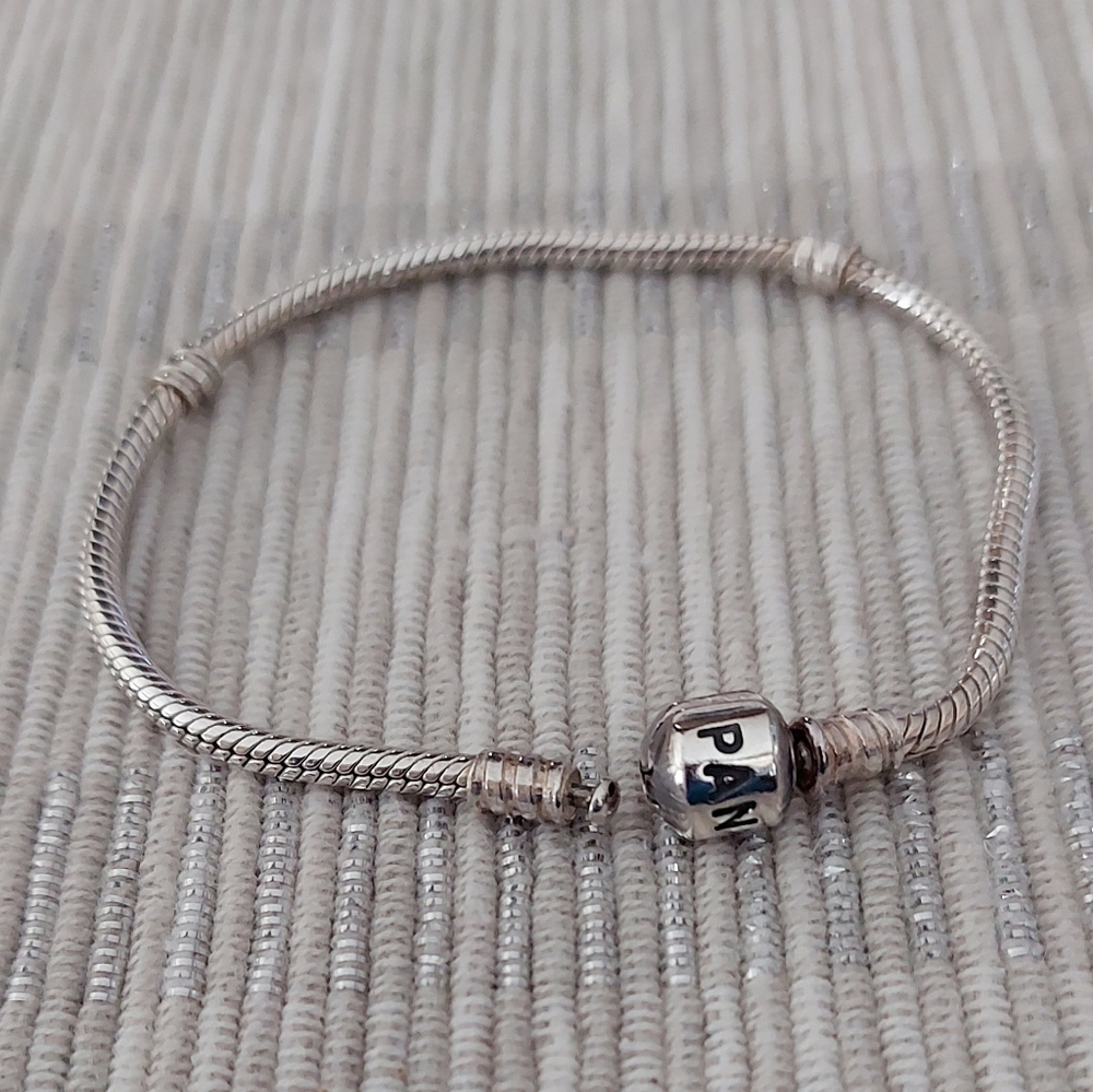 Authentic Pandora Bracelet - I'm Including One Authentic Retired Charm